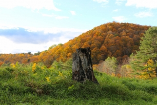 Pomfret, Vermont