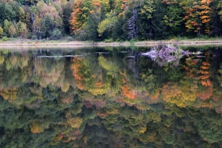 Barnard VT
