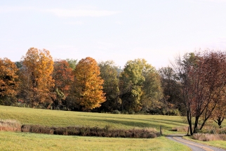 Hartland Vermont