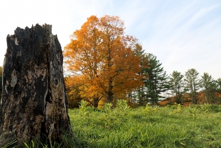 Pomfret Vermont