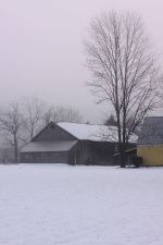 fog-lifting-along-the ct-river-IMG_3266
