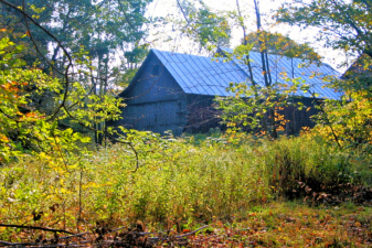 barn-with-blue-roof-IMG_3212
